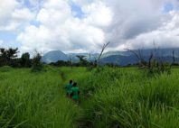Réserve du Mont Nimba 