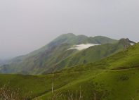 Réserve du Mont Nimba 