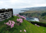 Ribeira Grande 