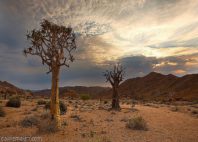 Richtersveld 