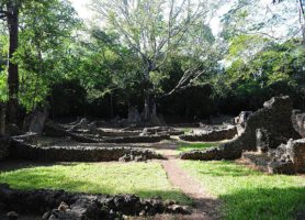 Ruines de Gede : des vestiges en pleine forêt