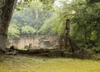 Ruines de Gede 