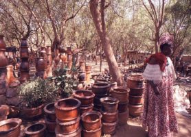 Ségou : découvrez cette merveilleuse terre du karité !