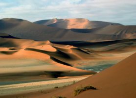 Sossusvlei : une éblouissante mer de sable à perte de vue