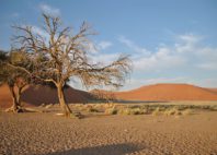 Sossusvlei 