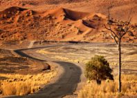 Sossusvlei 