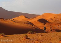 Désert du Namib 
