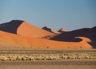 Désert du Namib 