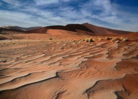 Désert du Ténéré : voici le trésor du Sahara