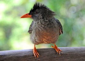 Vallée de Mai : explorez ce site naturel irrésistible