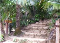 Vallée de Mai 