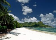 Vallée de Mai 