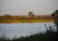 Parc national du W 
