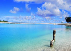 Wake : un petit territoire aux attractions surprenantes