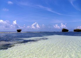 Watamu : sable fin, palmiers et mer bleue