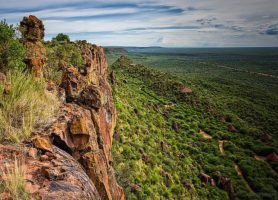 Waterberg : une immensité baignée d’éclat
