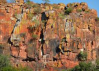 Waterberg 