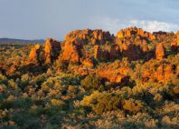 Waterberg 