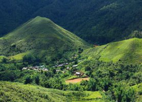 Zahamena : découvrez cet exceptionnel site naturel