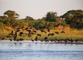 Bas-Zambèze : une exploration hors pair