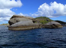 Île Cocos : découvrez cet aquarium exceptionnel