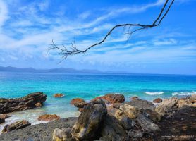 Île Doini : découvrez ce joyau incontournable de l’Océanie