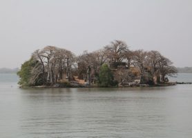 Île Kunta Kinteh : la merveilleuse île souvenir !