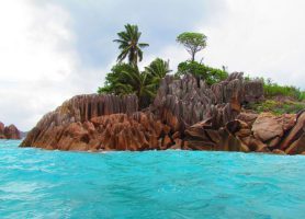 Île Saint-Pierre : découvrez cet aquarium naturel