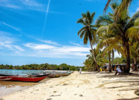 Île aux Nattes : découvrez cette île paradisiaque