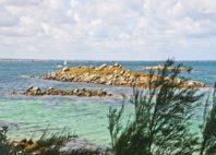 Île de Batz 