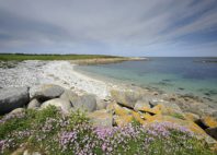 Île de Batz 