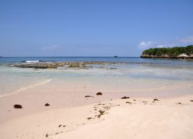 Île de Bongoyo : une superbe portion de terre