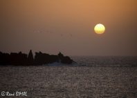 Île de Brava 