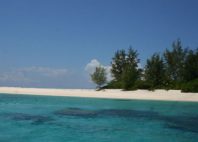 Île de Denis 