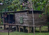 Île de Kitava 