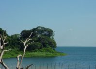 Île de Ngamba 