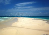 Îles Quirimbas 