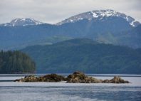 Îles Revillagigedo 