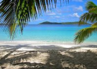 Île Salomon 