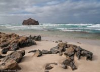 Île de Boa Vista 