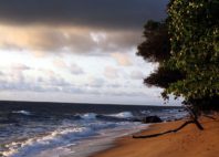 Kribi 