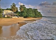 Kribi 