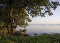 Lac Tana 