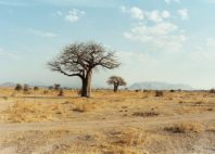Parc national de Ruaha 