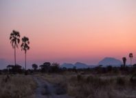 Parc national de Ruaha 