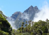 Piton des Neiges 