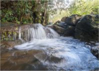 Chutes de Tamarin 