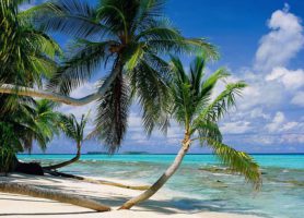 Tuvalu : offrez-vous ce séjour au bout du monde