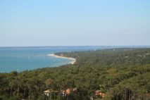 Parc Naturel des landes 