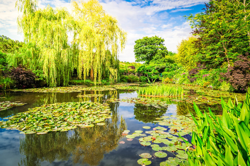 15 Beautiful spots in France to photograph